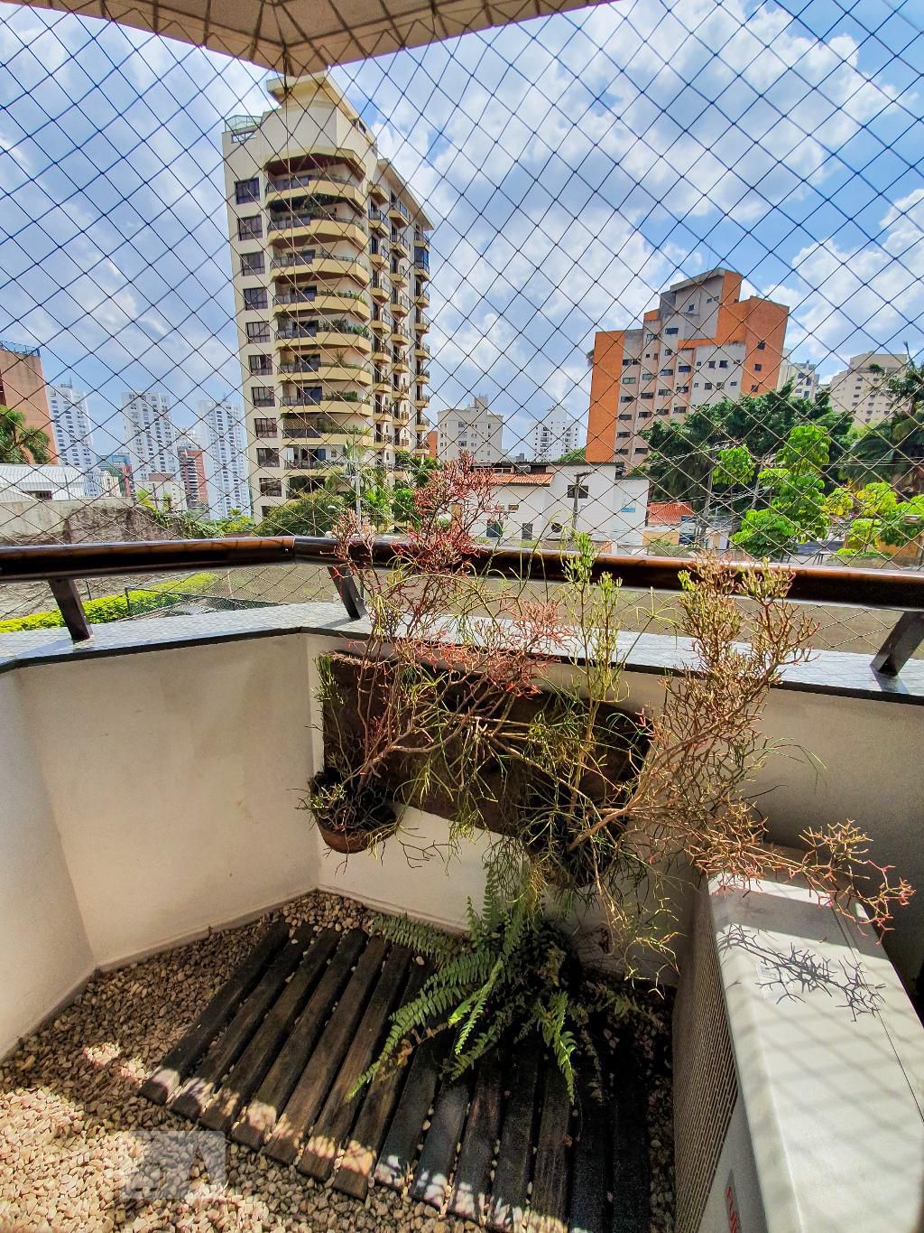 Foto 41