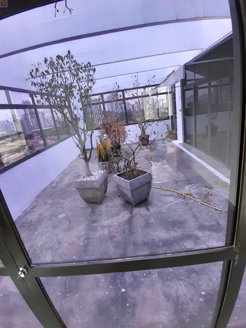 Foto 7
