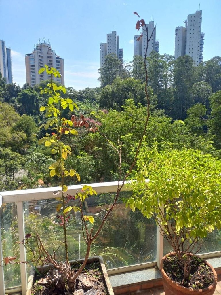 Foto 15