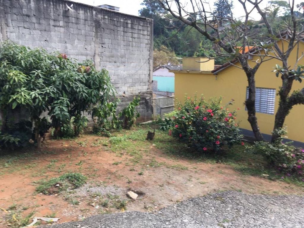 Foto 8