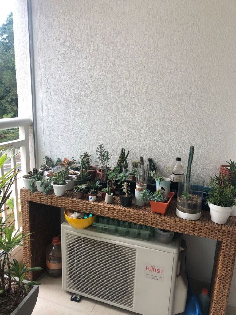 Foto 29