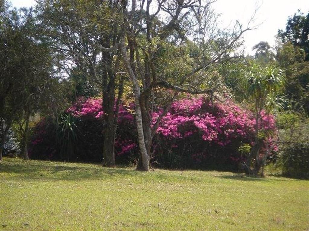 Sitio à venda em São Roque-SP, Volta Grande (São João Novo) - 6 quartos, 5 banheiros, 71.000m2  - Imperdível oportunidade!