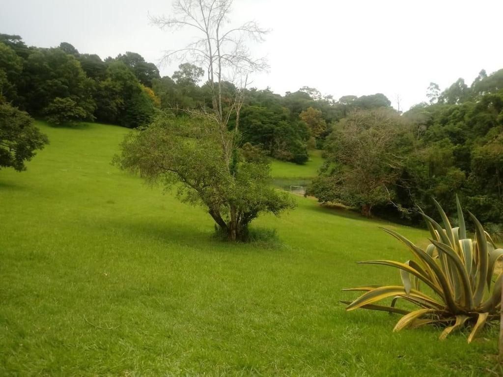 Foto 19