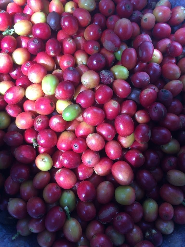 Foto 16