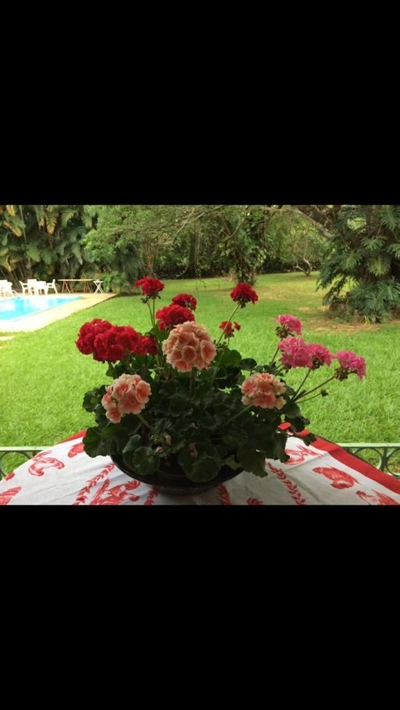Foto 19
