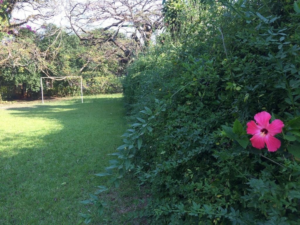 Foto 21