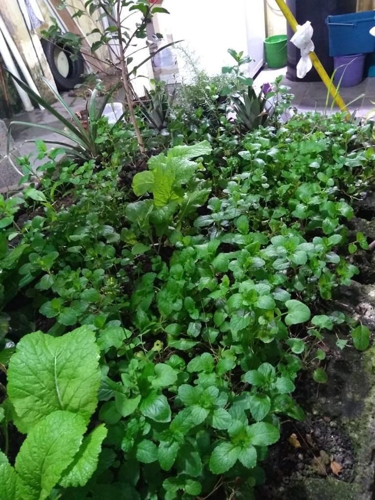 Foto 16