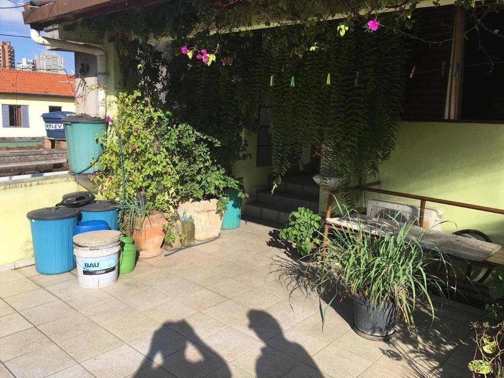 Foto 19