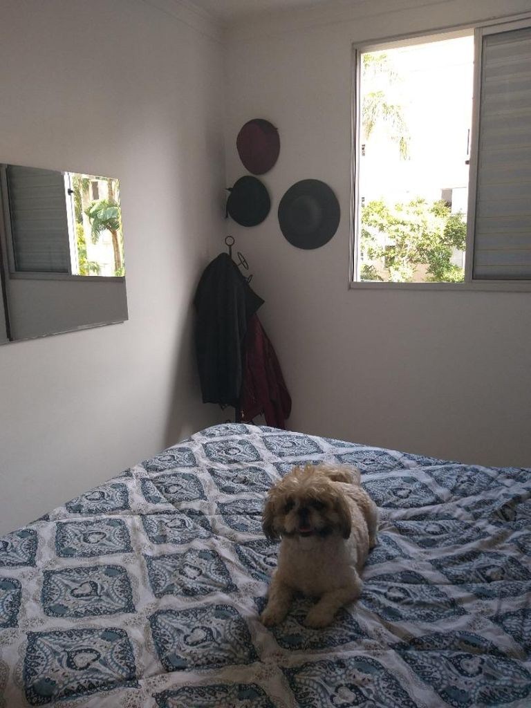 Foto 19