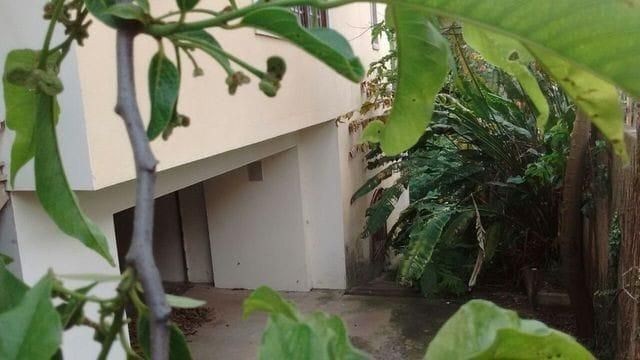 Foto 15