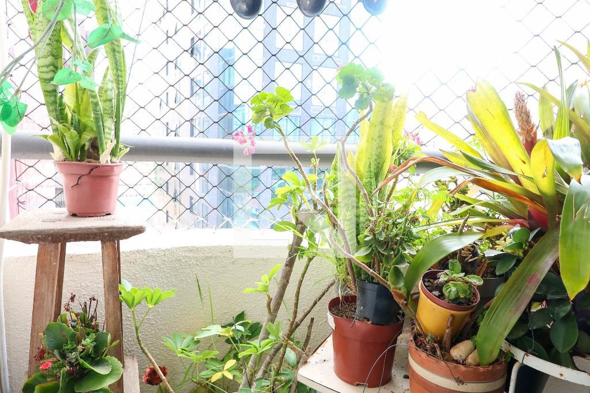 Foto 47