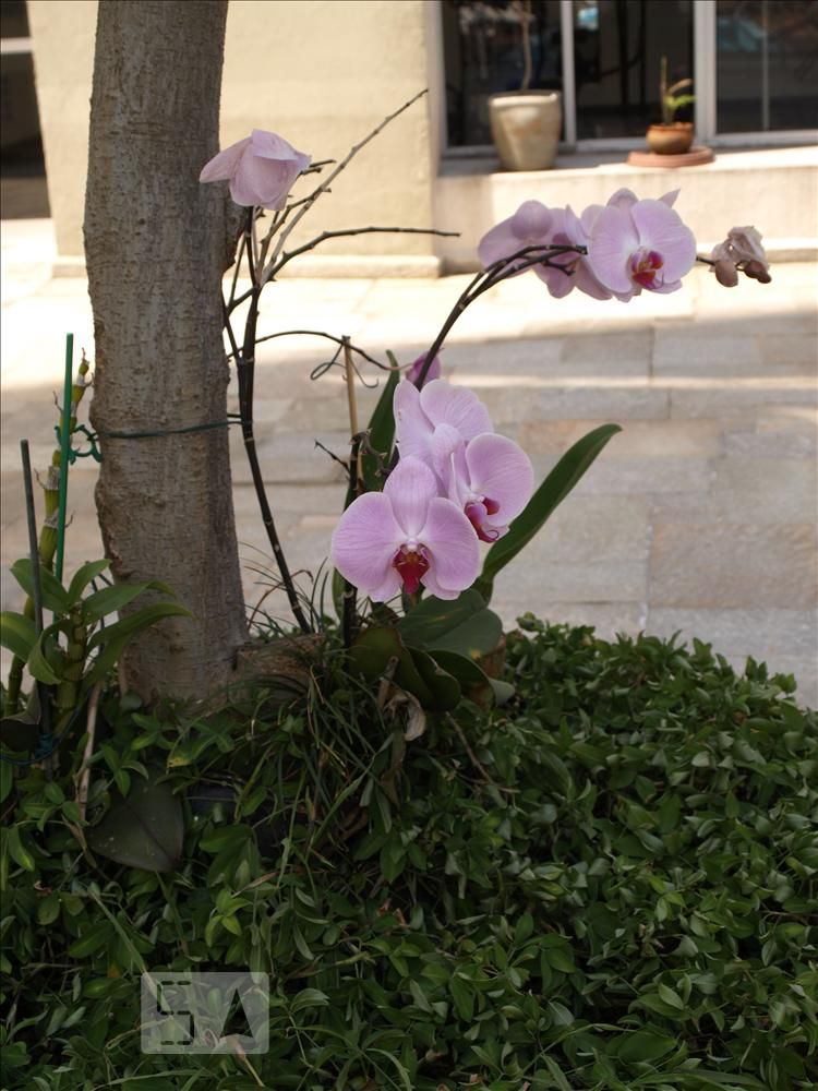 Foto 18