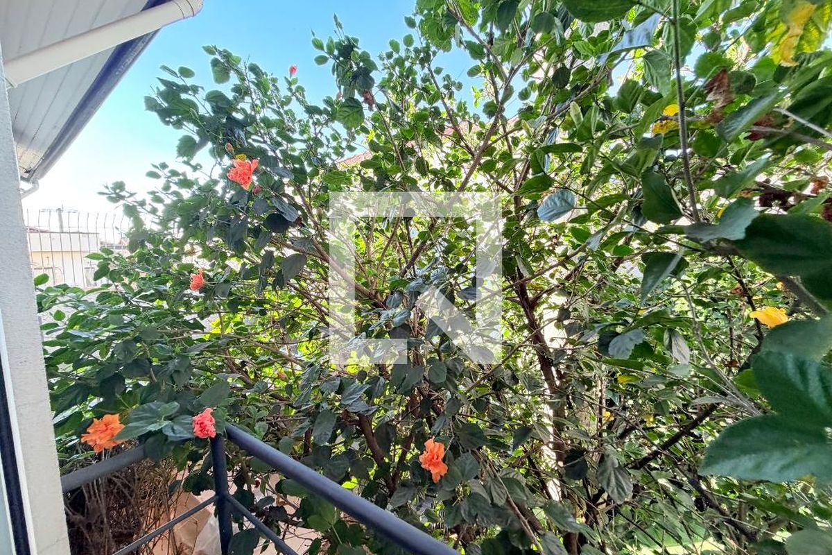 Foto 53