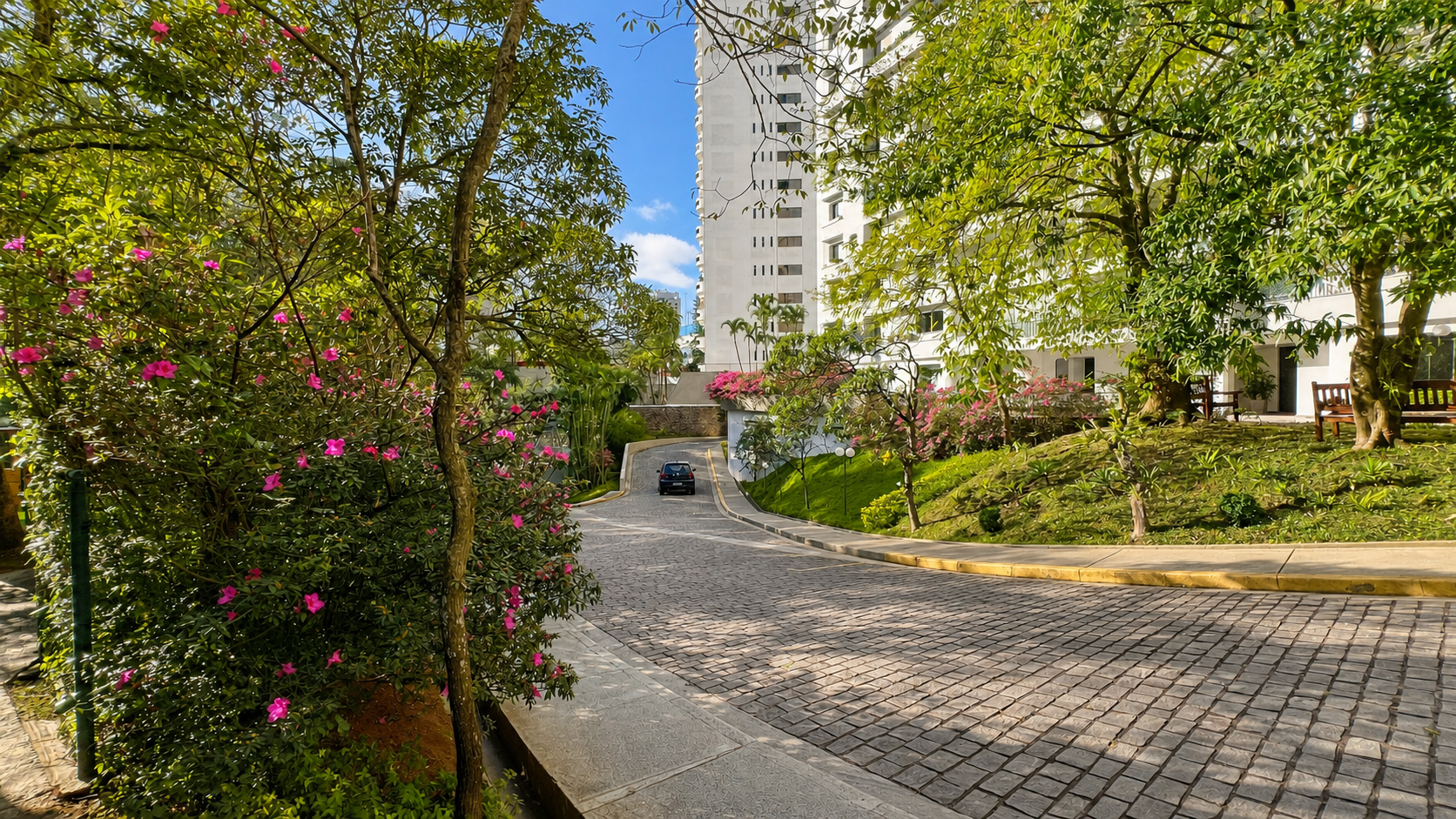 Foto 42
