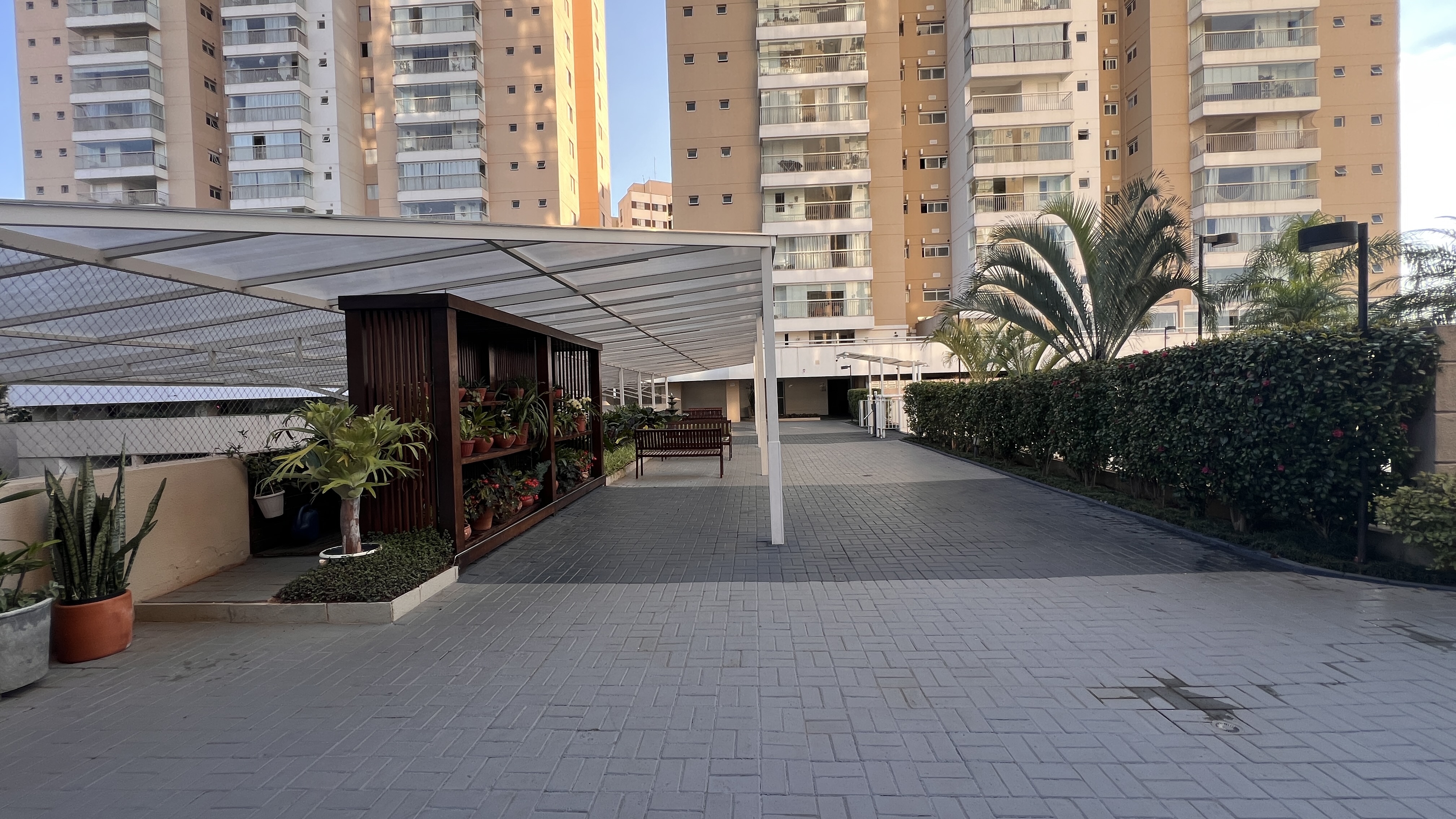Foto 61