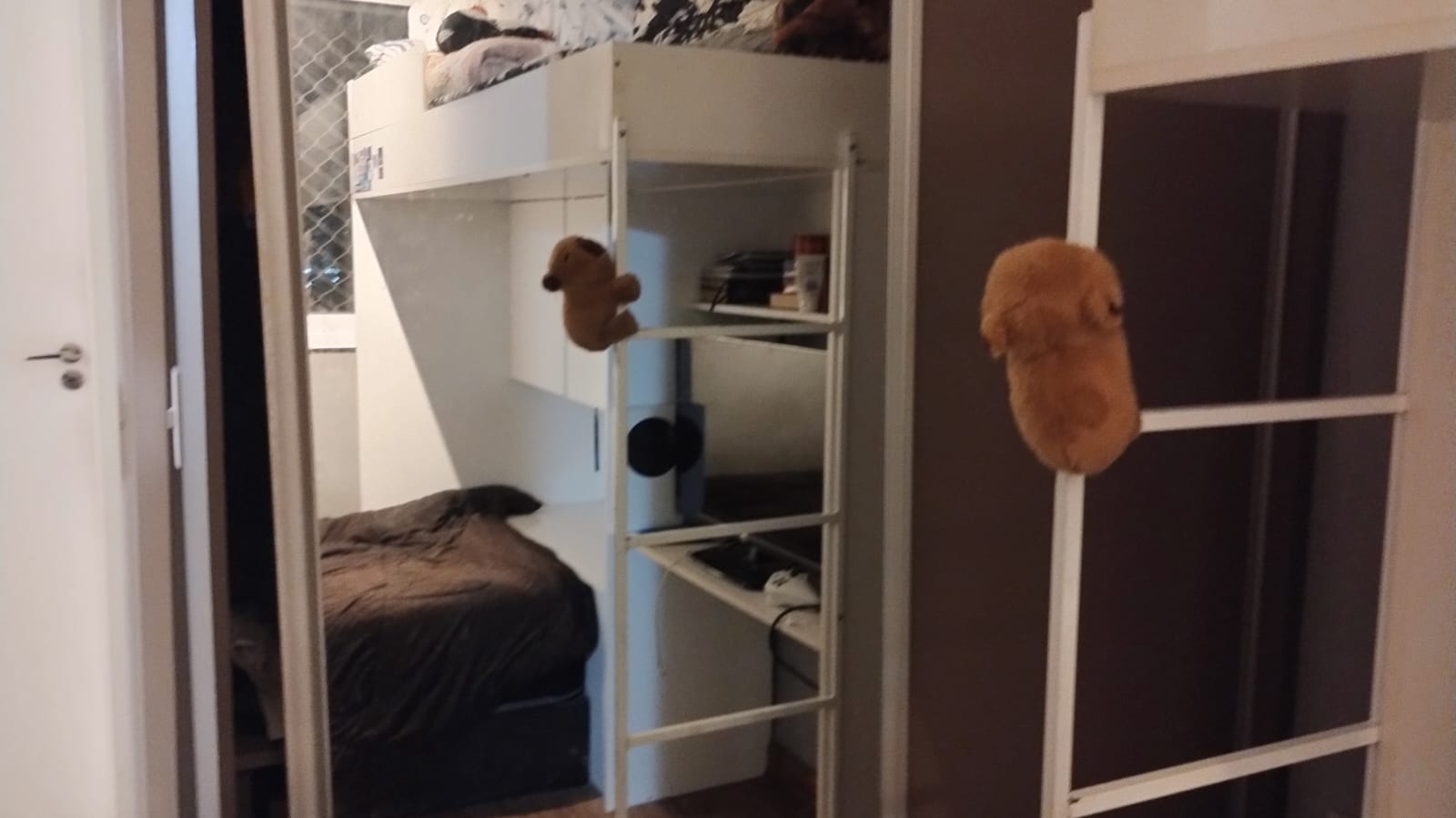 Foto 11