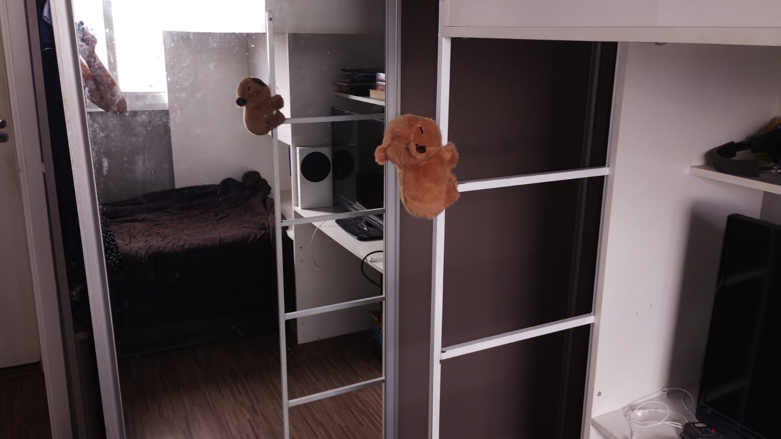 Foto 20