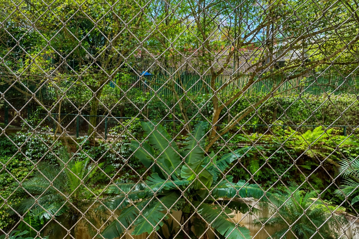Foto 19