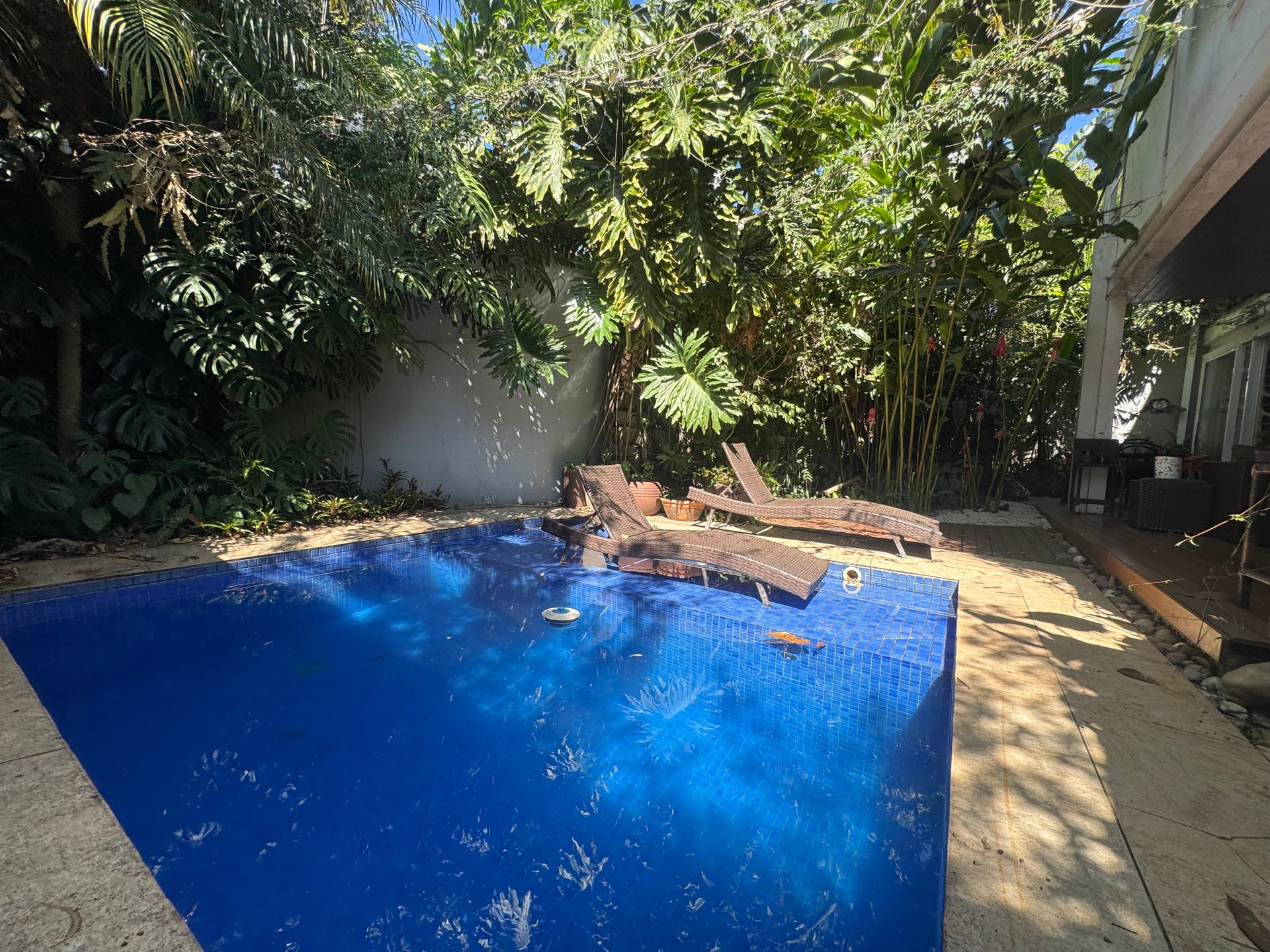 Foto 49