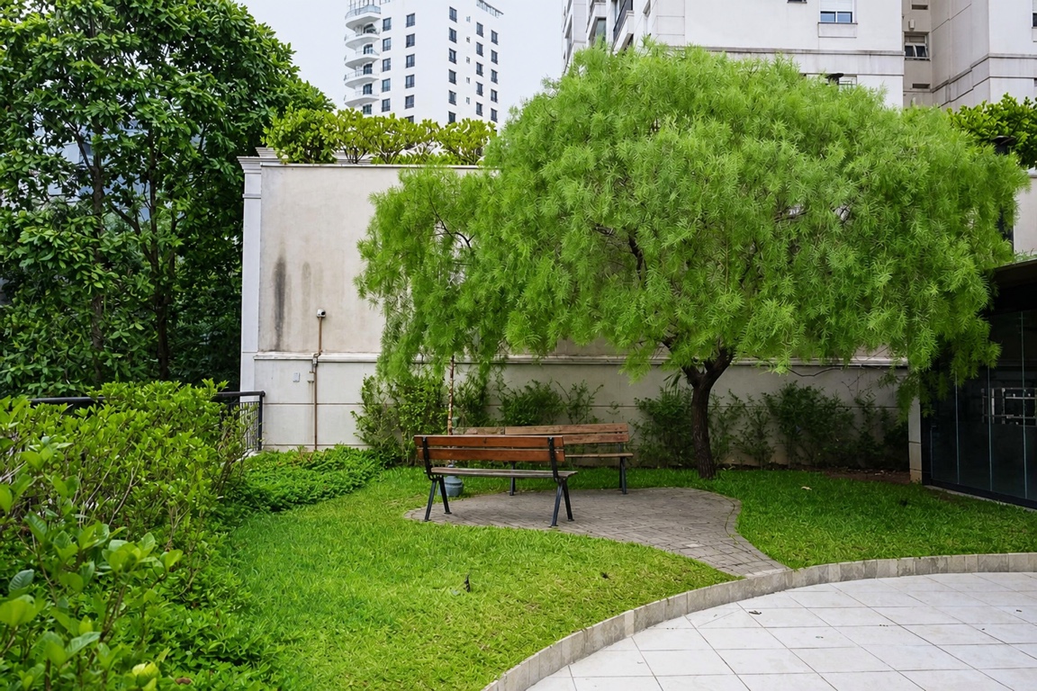 Foto 24