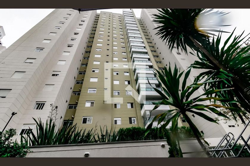 Foto 41