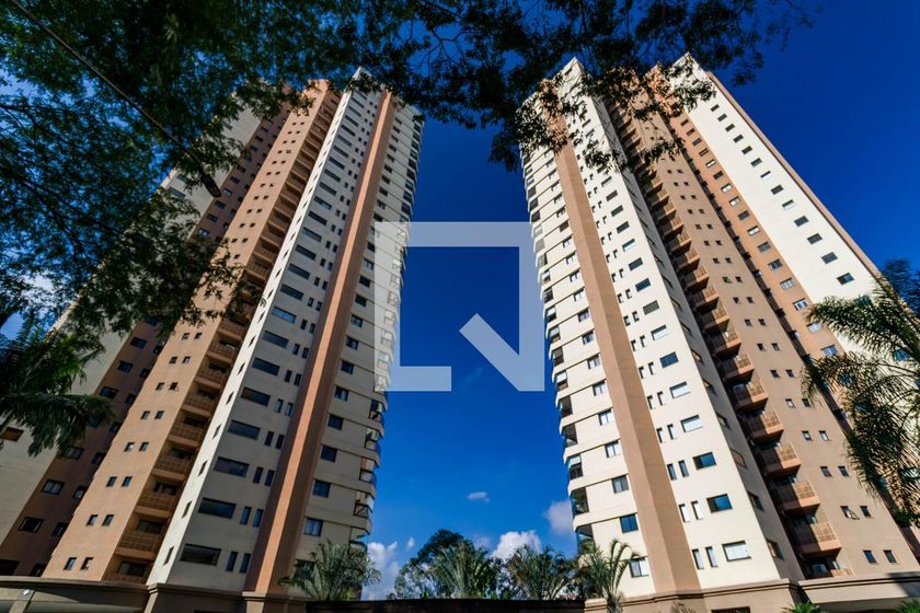 Voo do Tangará