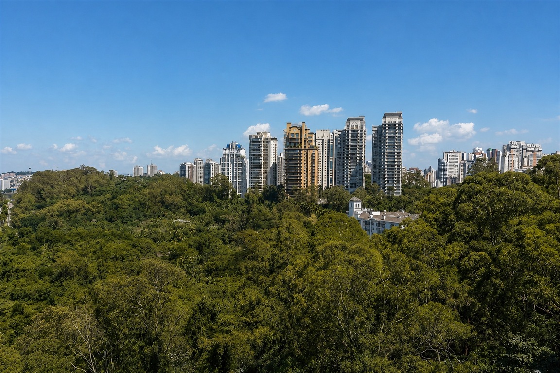 Foto 11