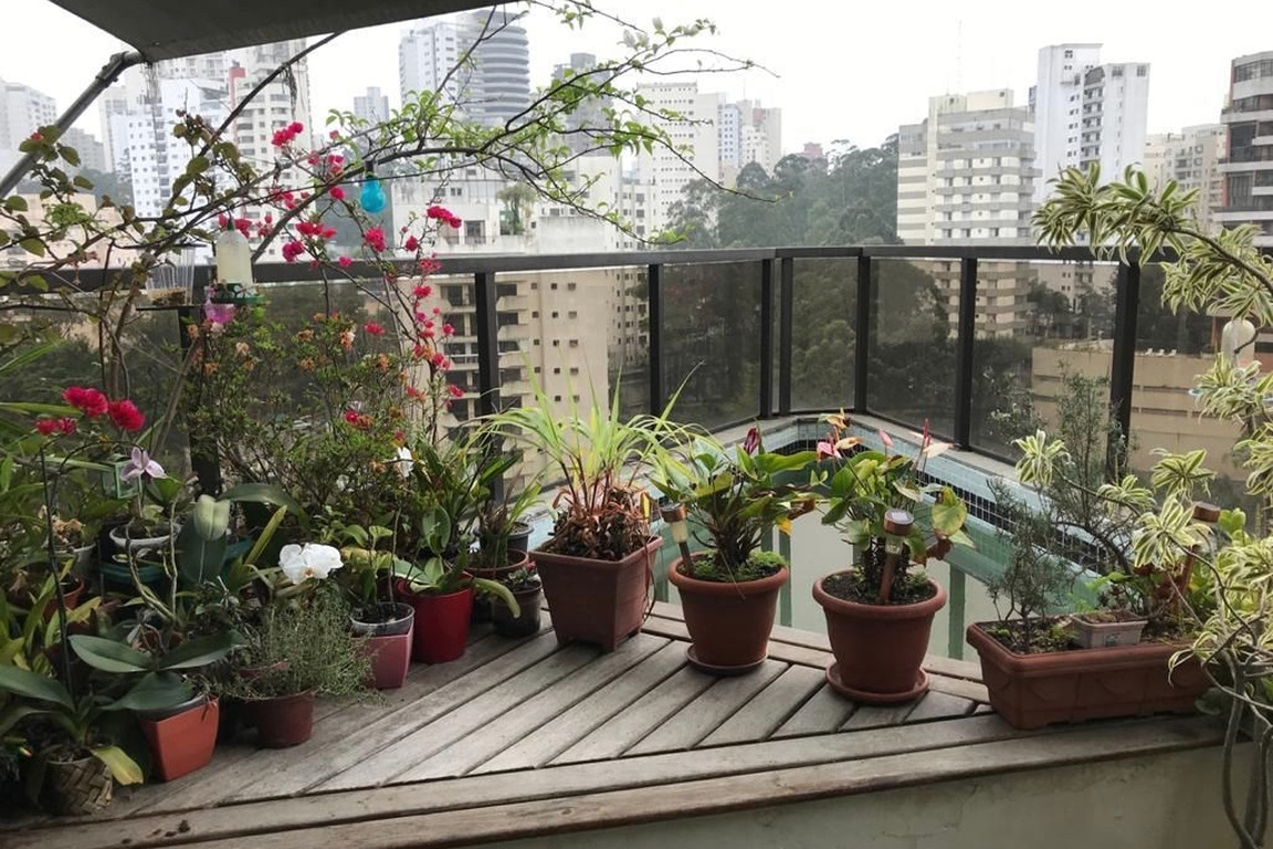 Foto 12