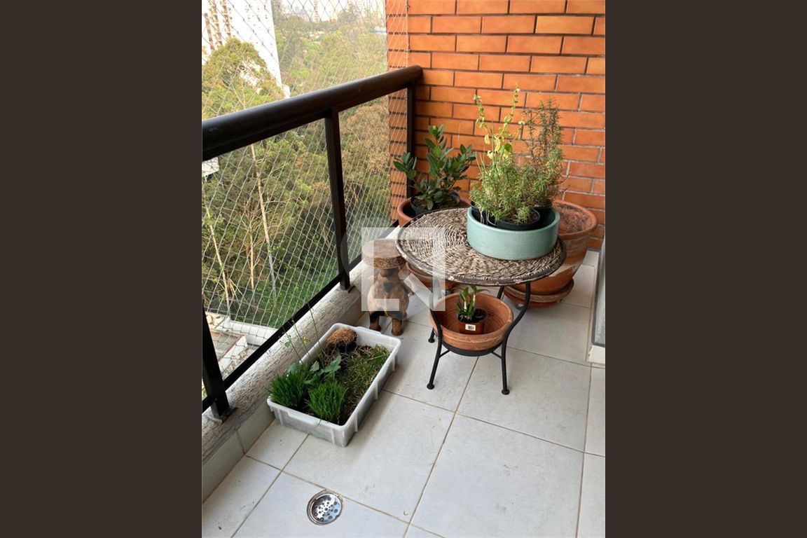 Foto 11