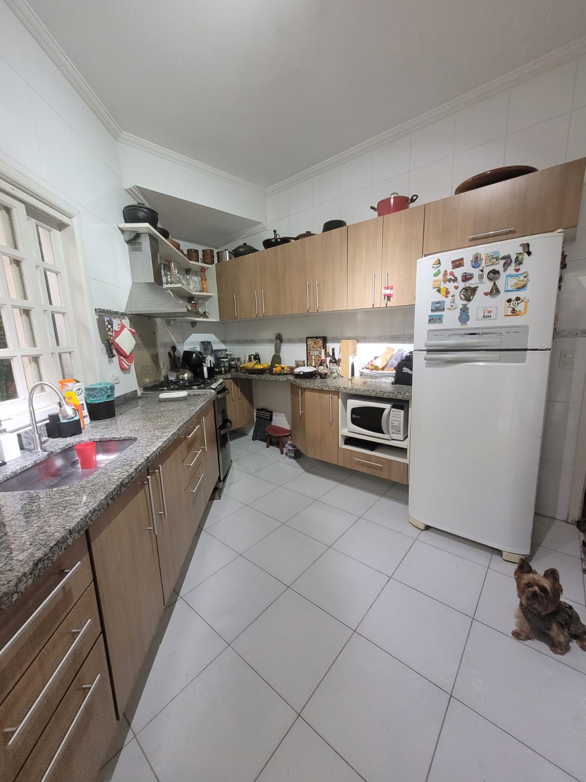 Foto 13