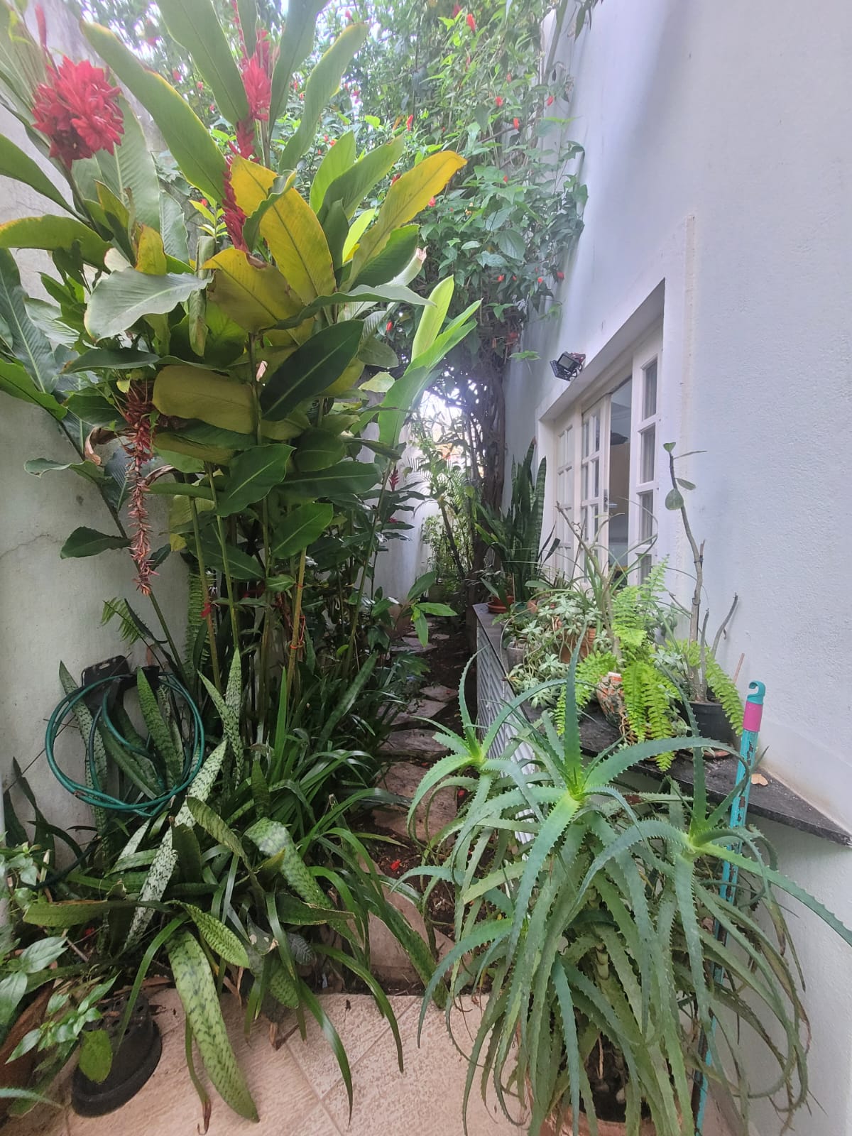 Foto 15