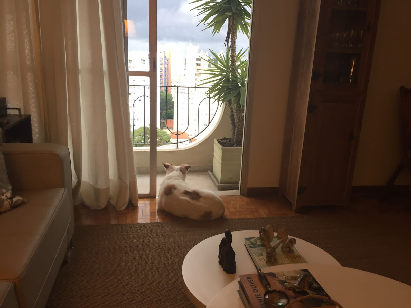 Foto 12