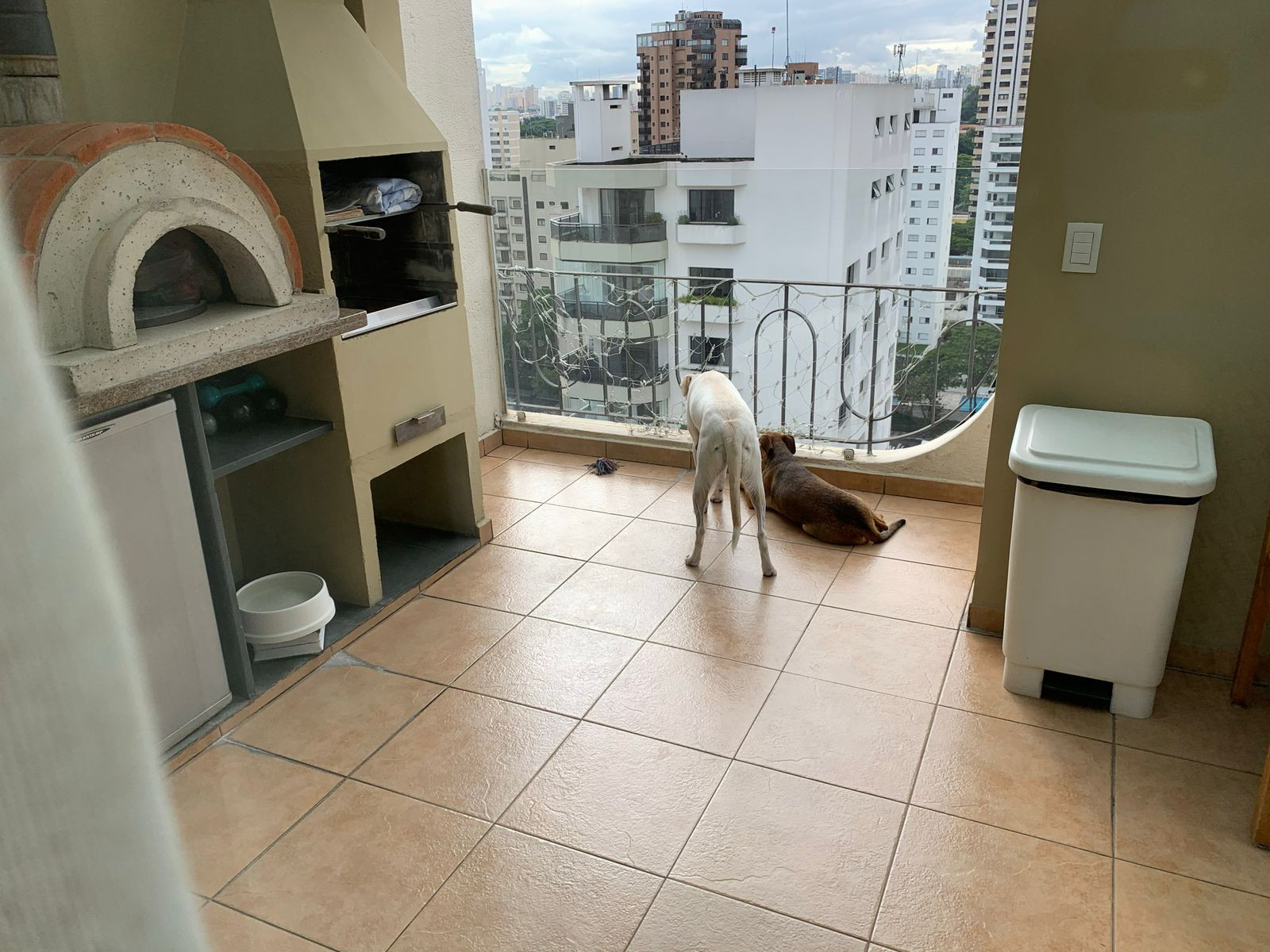 Foto 8