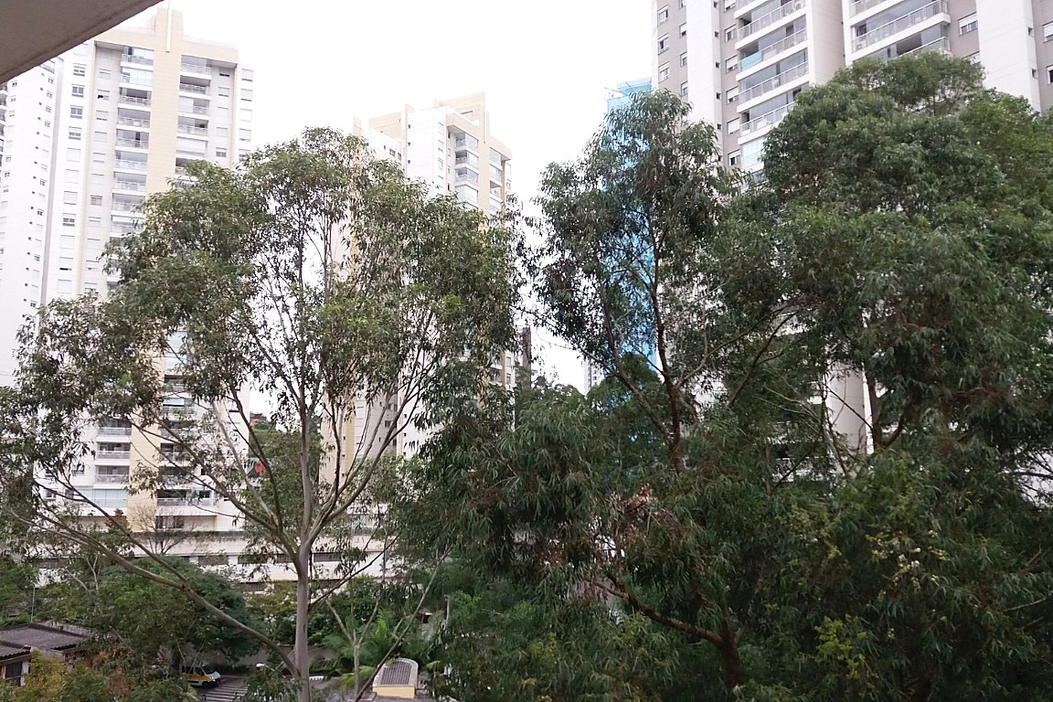 Foto 21