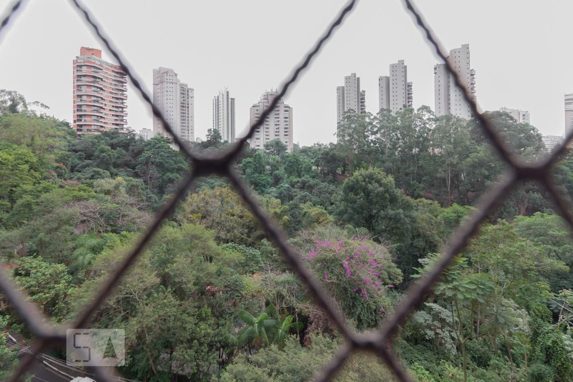 Foto 43