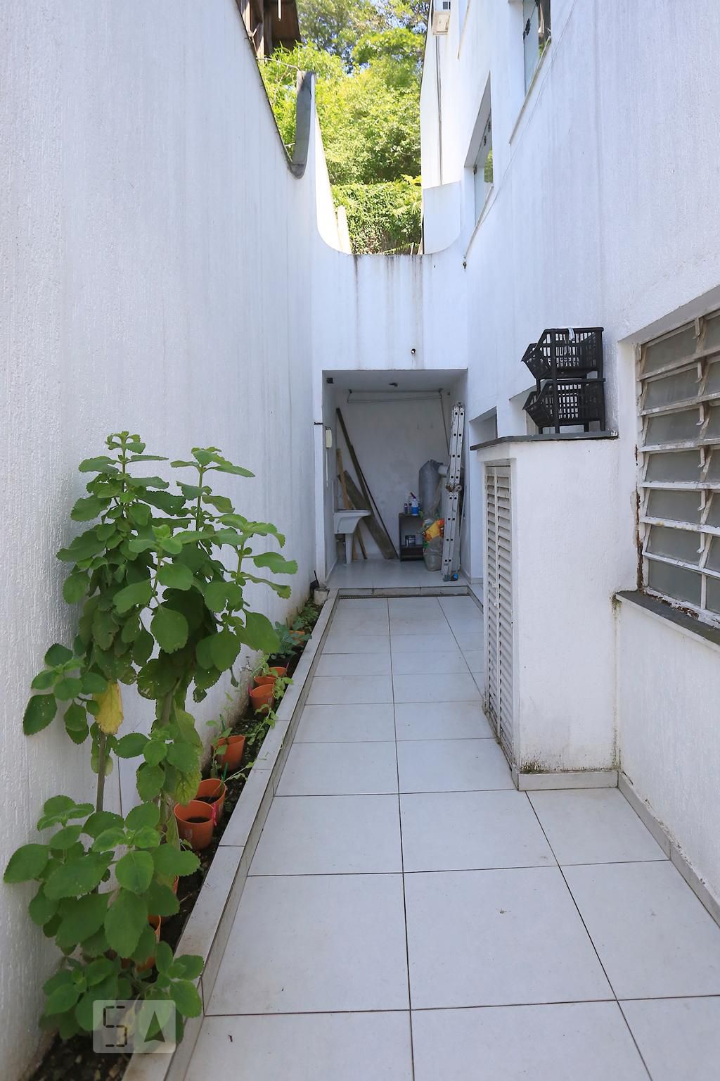 Foto 50